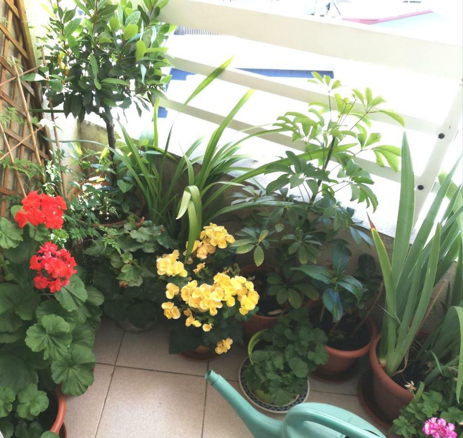 אורנסה Vivienda Caseiro מראה חיצוני תמונה